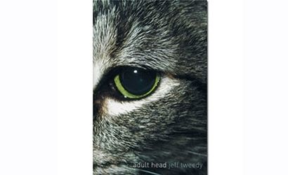 Adult Head - Jeff Tweedy (BOOK) by Wilco
