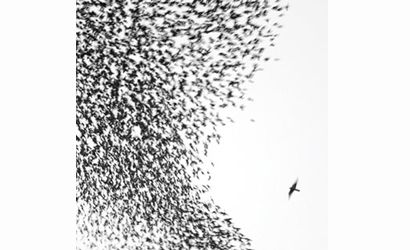 Sky Blue Sky (CD) by Wilco