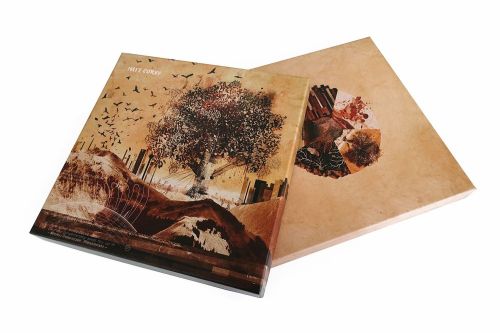 Telluric - LP Box Set by Matt Corby