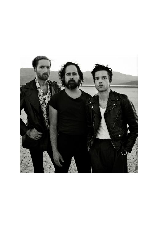 Desert Photo Poster by The Killers